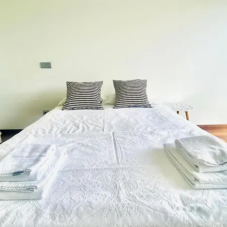 Apartment Torrinha -porto