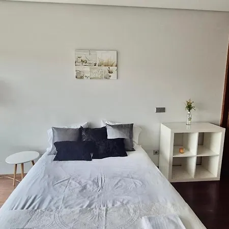 Torrinha -porto Appartement